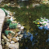 Image of EasyPro Eco-Series pond kit-Complete for a 15' x 20' pond EPK1520 Sample Installation