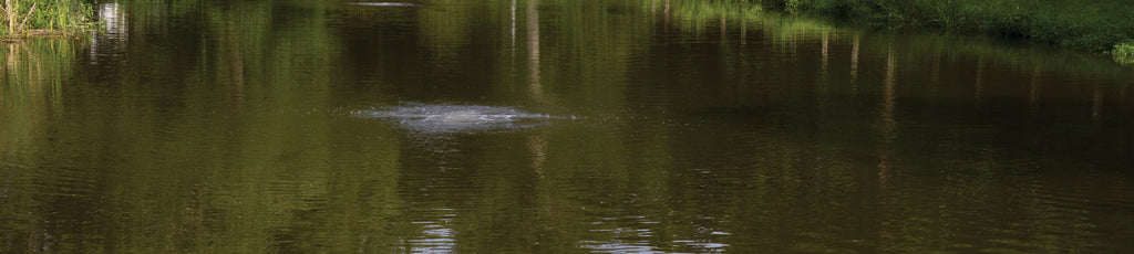 Pond Aeration