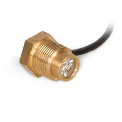 Atlantic Warm White Spout Light