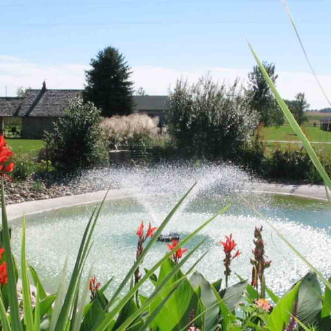 Kasco 3/4HP Aerating Fountain 3400VFX with V-Shape Pattern Operating in a Pond Surrounded by Plants