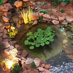 Savio 11' x 11' Pond Package PP1050UV With 18W UV Light
