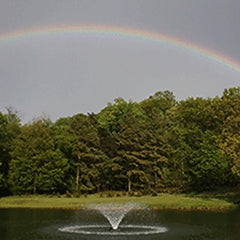 The Power House Inc Aerating Fountains - F1000F F1000F/000 F1000F/000615 Sample Installation with Trees at the back