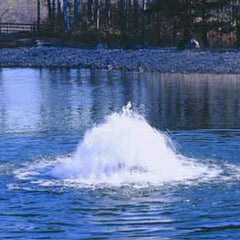 The Power House Inc Surface Aerators - F1000DP F1000DP/000 F1000DP/000615 Sample Installation