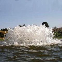 The Power House Inc Surface Aerators - F500 F500/050 F500/050615 Sample Installation