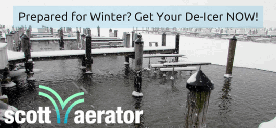 Marketing Small First